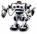 RC ROBOT